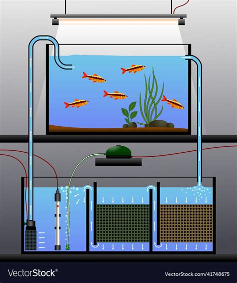 Diagram Of A Modern Reef Aquarium With Sump And Refuge Reef 48 Off