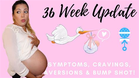 36 week pregnancy update and bump shot youtube