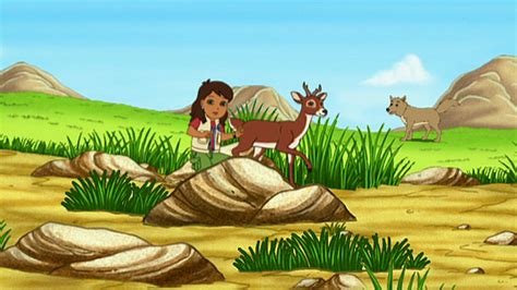 Watch Go Diego Go Season 3 Episode 6 Alicia And Whitetail To The