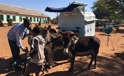 On The Move With The Donkey Powered Mobile Libraries Of Zimbabwe