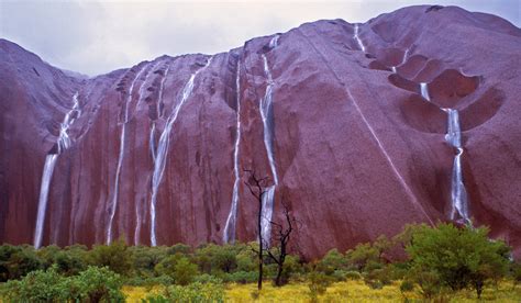Uluru Waterfalls Exuberant Witness