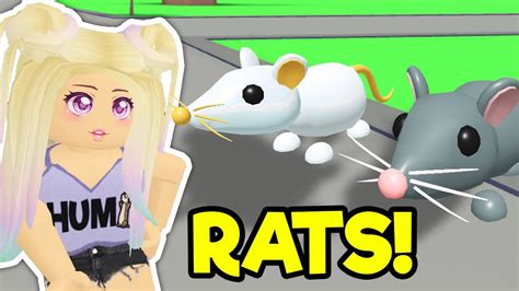 New Rat Pets In Adopt Me Roblox Youtube