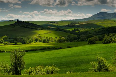 Italy Scenery Fields Grasslands Tuscany Nature Wallpapers Hd