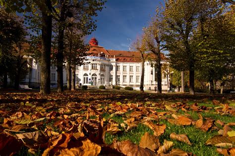 Zimni stadion karlovy vary , karlovy vary , чехия. Podzim | Karlovy Vary - průvodce, hotely, lázně, wellness ...
