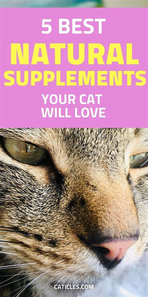 As long as you make sure your cat's diet is complete and balanced, you don't need to worry about providing the wrong nutrients. Supplements for Cats with Dry Skin and Home Remedies That ...