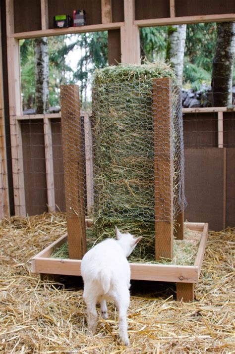 Square Bale Hay Feeder For Goats What A Great Idea For Goats