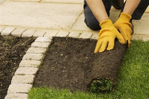 Type 1 stone, gravel, crushed rock, decomposed granite, or any stones or rocks smaller than 3/8 inches as a base. How to Install Artificial Grass on Soil (Step-By-Step Guide)