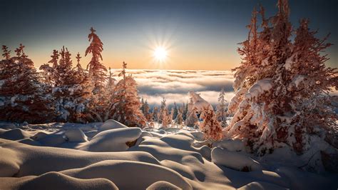 Beautiful Winter Scenery Frozen Trees Fog Sunlight Blue Sky Background