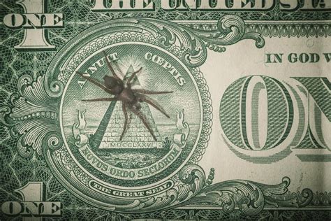 Spider On Pyramidal Banknotes Of One Us Dollar Stock Image Image Of