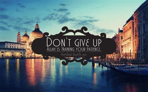 Never give up wallpapers and backgrounds free download in hd. Don't Give Up Wallpapers Group (68+)