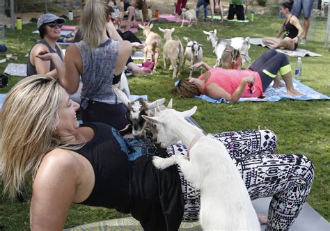 Hillary Smoot Takes A Goat Yoga Class At Western Trails Neighborhood