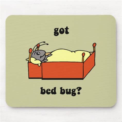 Funny Bed Bug Pictures Bangdodo