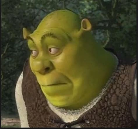 Shrek Face Meme Claretorphy