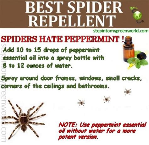How much does pest control service cost? Homemade Pest Control Recipes Video Instructions (With ...