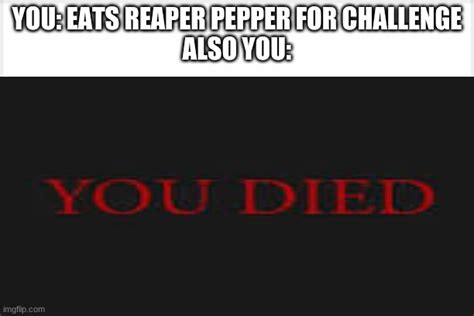 You Died Imgflip