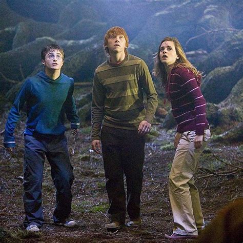 En harry potter y la orden del fénix, otra entrega de la muy exitosa saga de la autora británica j. Harry Potter Y La Orden Del Fenix Libro - Libros Famosos