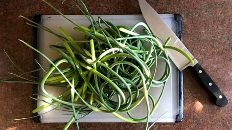 How To Use Garlic Scapes In Your Cooking