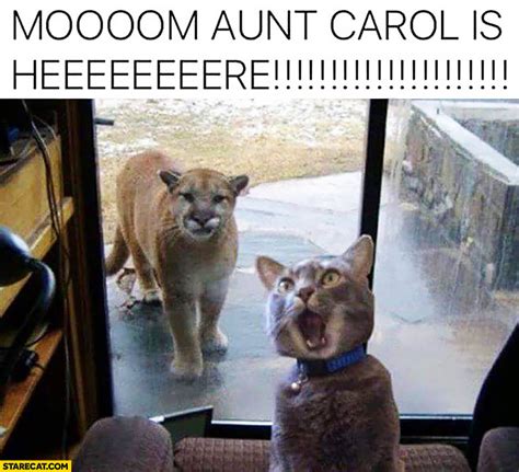 Mom Aunt Carol Is Here Yelling Cat Lion Cheetah