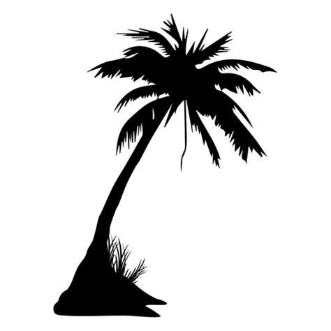 Hojas de palmeras tropicales de verano colgando sobre fondo negro transparente. Palmera silueta de verano de palmera - Descargar PNG/SVG ...