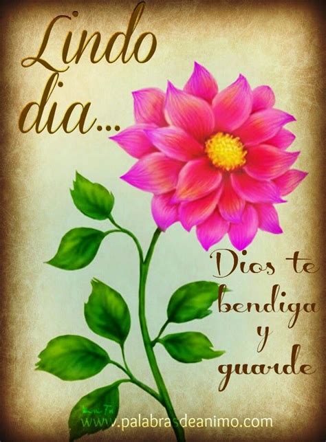 Un Lindo Dia Good Day Quotes Good Night Greetings Morning Greeting