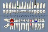 Images of Dental Office Software Free