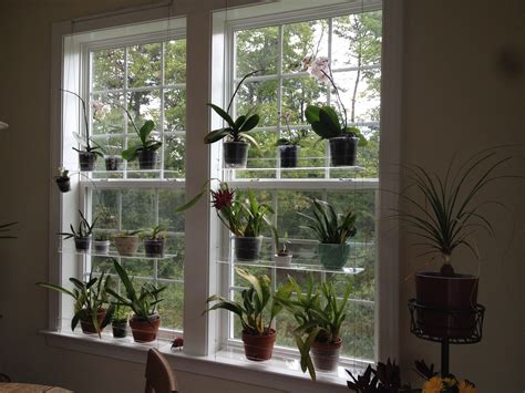 I Love These Window Shelves From Window Shelves