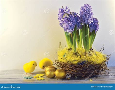 Hyacinths With Easter Eggs Stock Photo Image Of Candle 88647114