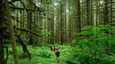 10 Best Hikes In Oregon A Locals Guide In 2020