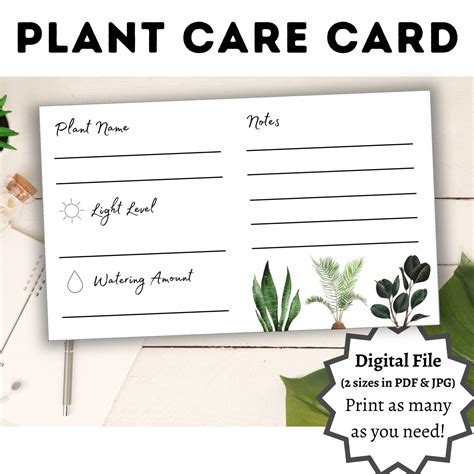 Plant Care Card Blank Card Printable Digital Download Instant