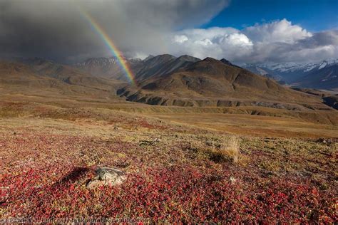 Rainbow Over Alaska Range Denali Park