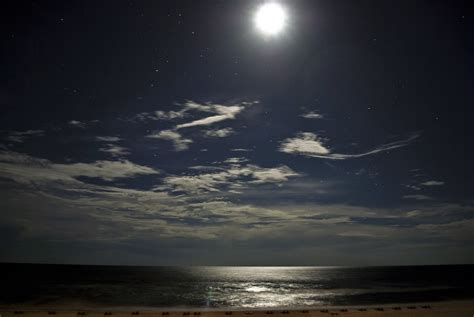50+ Free Moonlight Beach & Moonlight Images - Pixabay