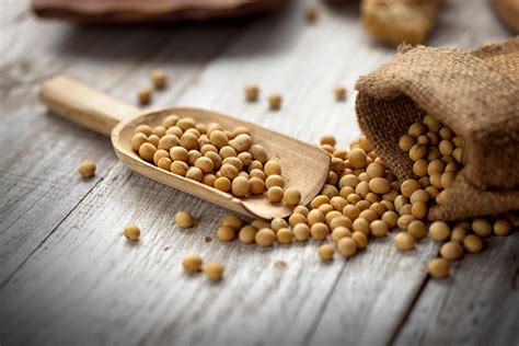 Estrogen rich foods you should include in your diet flax seeds. Does soy increase estrogen in males? | Kansas Living Magazine