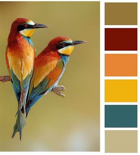 30 Receiving Color Palettes Inspired By Animals You Can Actually Use