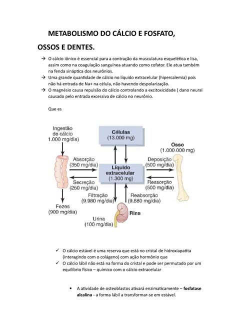 Metabolismo Do Cálcio E Fosfato Metabolismo Do CÁlcio E Fosfato