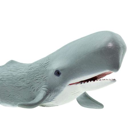 Sperm Whale Toy Sea Life Safari Ltd®