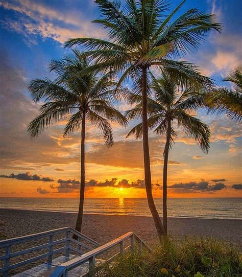 Good Morning Miami By Kimor ☀️ ☀️ ☀️ Sunrise Beach Beautiful Sunrise