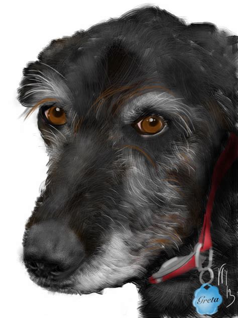 Custom Dog Portrait Pet Portrait Custom By Litdigitalpaintings 3500