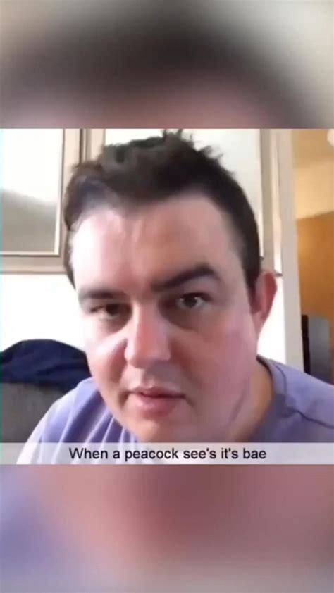 Daz Black Really Funny Really Funny Memes Really Funny Joke