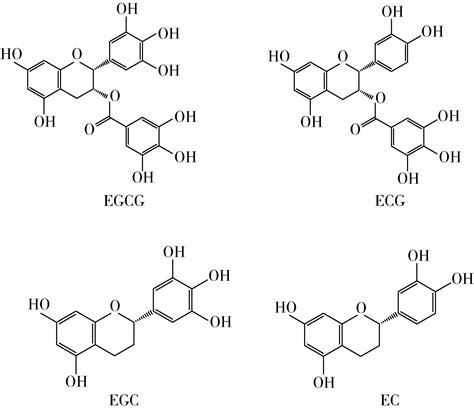 茶多酚的成炭性能及热分解动力学研究