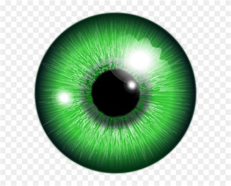 Eye Png Green Eye Ball Transparent Png 600x60095210 Pngfind