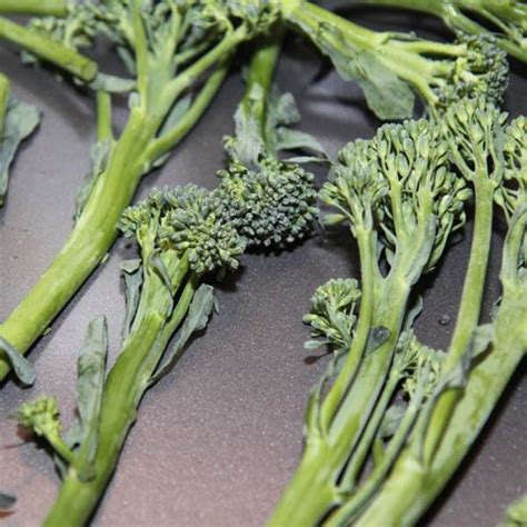 Australian Seed Broccoletti Broccolini