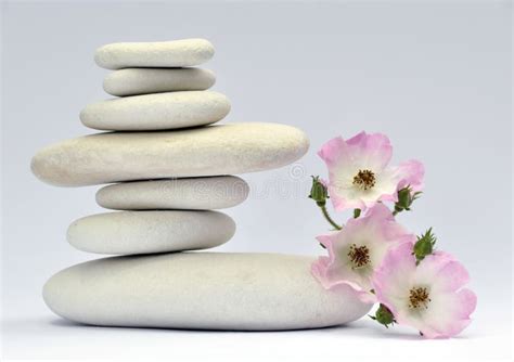 Stones And Flowers Stock Image Image Of Pile Green 16261573