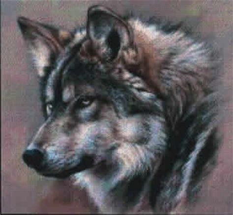 Aida 14, white 197w x 140h stitches size(s): cross stitch wolves patterns | Wolf+cross+stitch+patterns ...