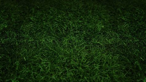 Green Grass Wallpapers Top Free Green Grass Backgrounds Wallpaperaccess