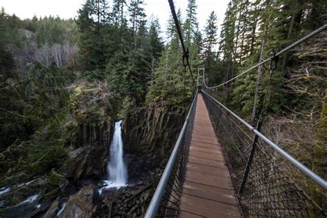 Few From The Far Side Of The Bridge Drift Creek Falls Hike Explore