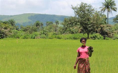 Sierra Leone Women Given Right To Own Land