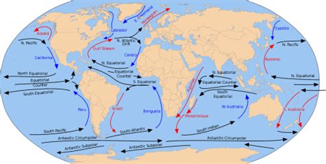 Corrientes Oceánicas Características Tipos Y Funcionamiento