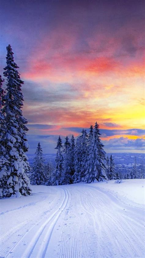 Winter Background Wallpaper Discover More Aesthetic Background Cute