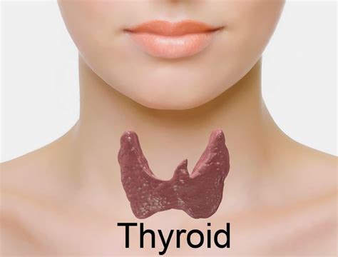 Thyroid Cancer Symptoms And What You Need To Know
