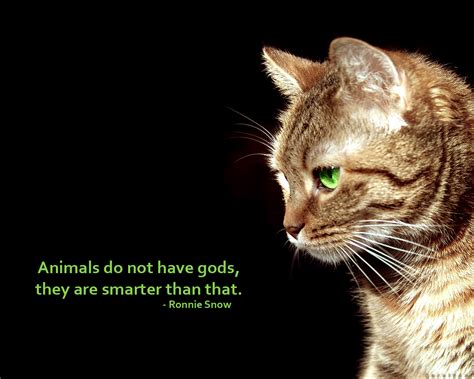 Animals And God Quotes Quotesgram